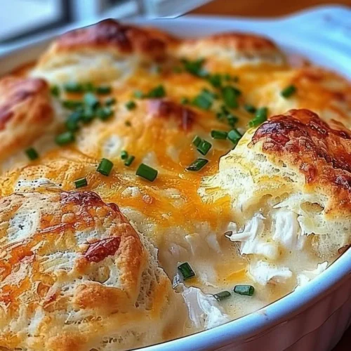 Delicious Chicken Biscuit Casserole served in a creamy sauce with flaky biscuits.